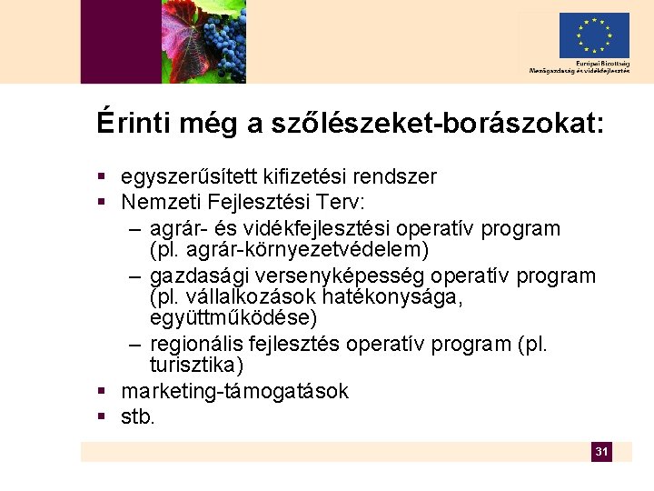 Érinti még a szőlészeket-borászokat: § egyszerűsített kifizetési rendszer § Nemzeti Fejlesztési Terv: – agrár-