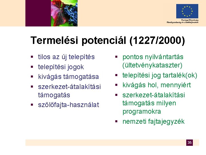 Termelési potenciál (1227/2000) § § tilos az új telepítési jogok kivágás támogatása szerkezet-átalakítási támogatás