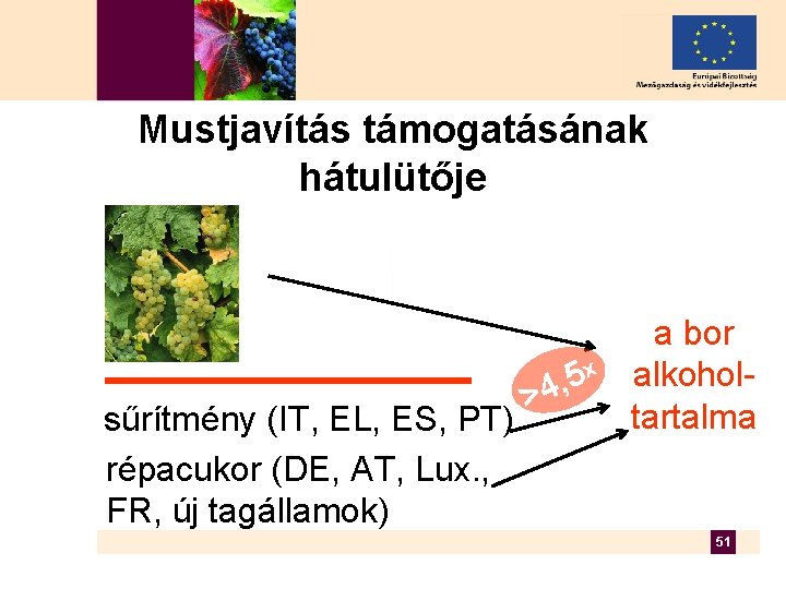 Mustjavítás támogatásának hátulütője sűrítmény (IT, EL, ES, PT) répacukor (DE, AT, Lux. , FR,