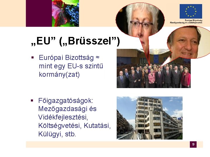 „EU” („Brüsszel”) § Európai Bizottság ≈ mint egy EU-s szintű kormány(zat) § Főigazgatóságok: Mezőgazdasági