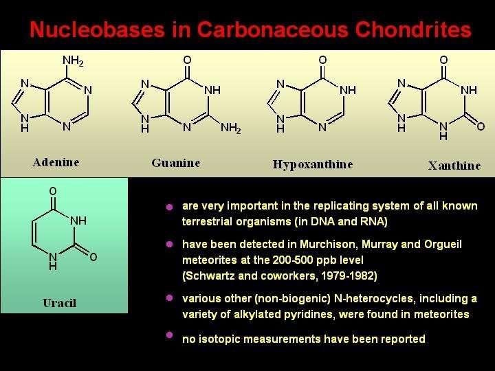 Nucleobases in Carbonaceous Chondrites are very important in the replicating system of all known