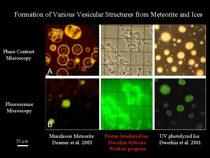 Formation of Various Vesicular Structures from Meteorite and Ices Phase Contrast Microscopy Fluorescence Microscopy