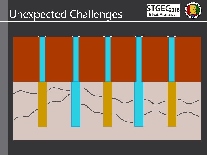 Unexpected Challenges 