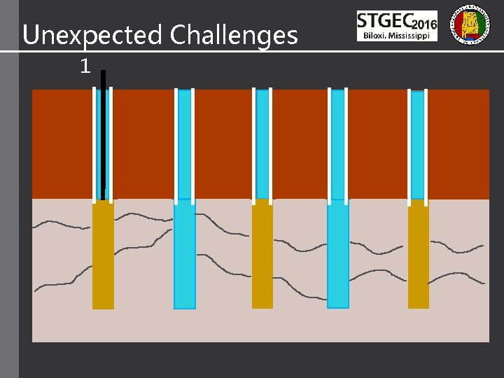 Unexpected Challenges 1 