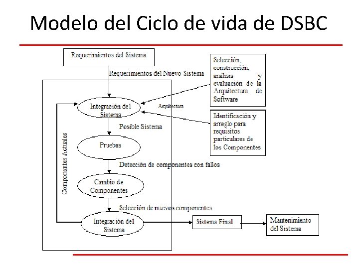 Modelo del Ciclo de vida de DSBC 