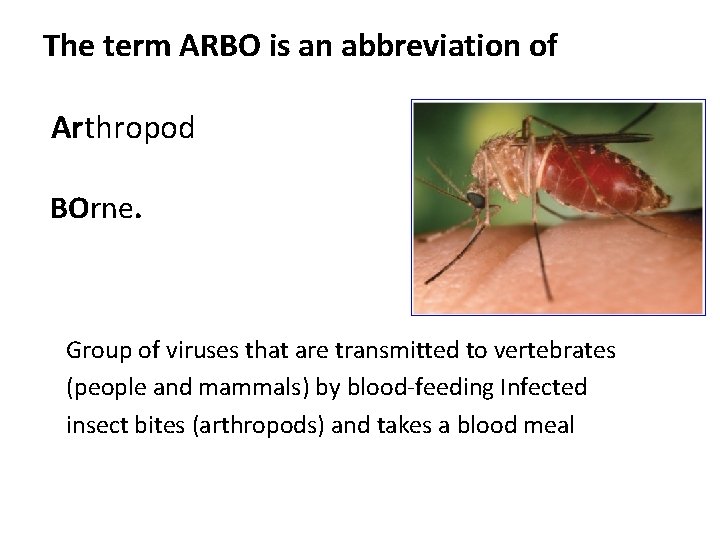 The term ARBO is an abbreviation of Arthropod BOrne. Group of viruses that are