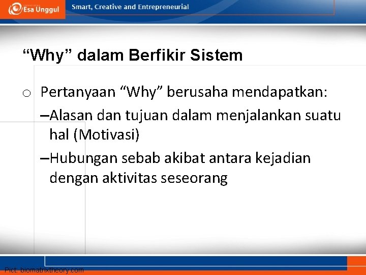 “Why” dalam Berfikir Sistem o Pertanyaan “Why” berusaha mendapatkan: –Alasan dan tujuan dalam menjalankan “Why” dalam Berfikir Sistem o Pertanyaan “Why” berusaha mendapatkan: –Alasan dan tujuan dalam menjalankan