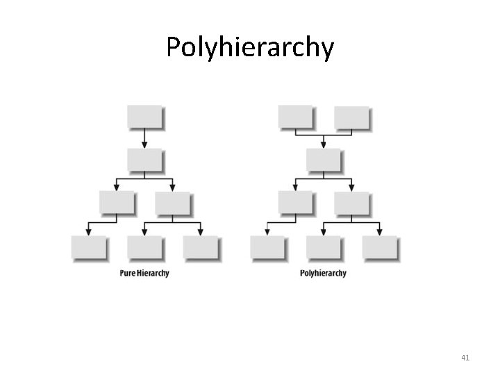 Polyhierarchy 41 