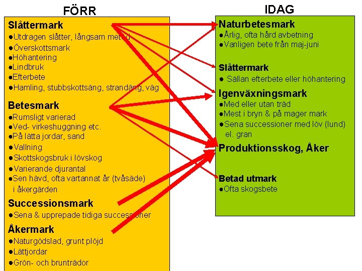 FÖRR Slåttermark IDAG Naturbetesmark ●Utdragen slåtter, långsam metod ●Överskottsmark ●Årlig, ofta hård avbetning ●Vanligen