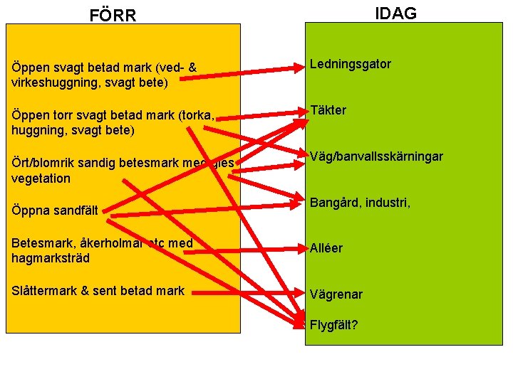 IDAG FÖRR Öppen svagt betad mark (ved- & virkeshuggning, svagt bete) Ledningsgator Öppen torr