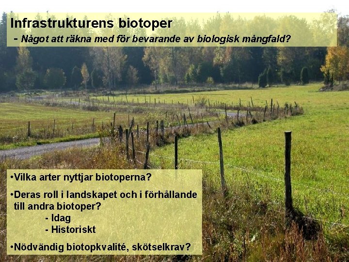 Infrastrukturens biotoper - Något att räkna med för bevarande av biologisk mångfald? • Vilka