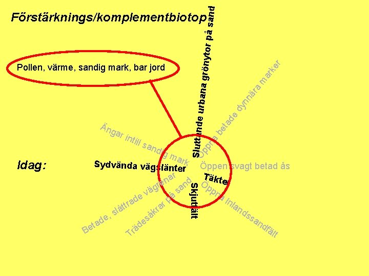 ÖSpluttande urba na grönyto pn r på sand a be ta de dy nn