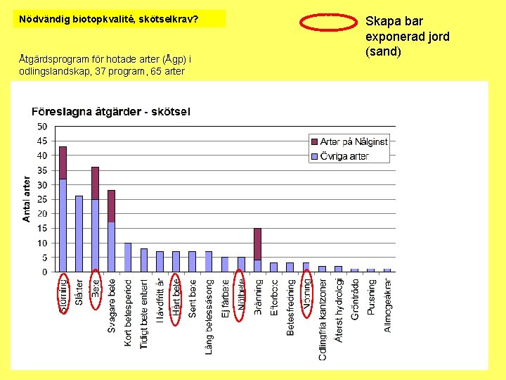 Nödvändig biotopkvalité, skötselkrav? Åtgärdsprogram för hotade arter (Ågp) i odlingslandskap, 37 program, 65 arter