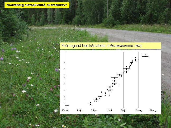 Nödvändig biotopkvalité, skötselkrav? Frömognad hos kärlväxter (Från Dahlström m. fl. 2007) 