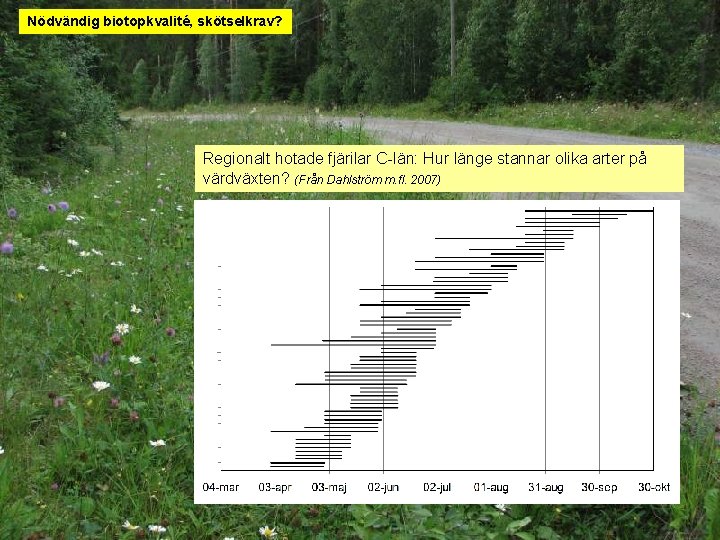 Nödvändig biotopkvalité, skötselkrav? Regionalt hotade fjärilar C-län: Hur länge stannar olika arter på värdväxten?