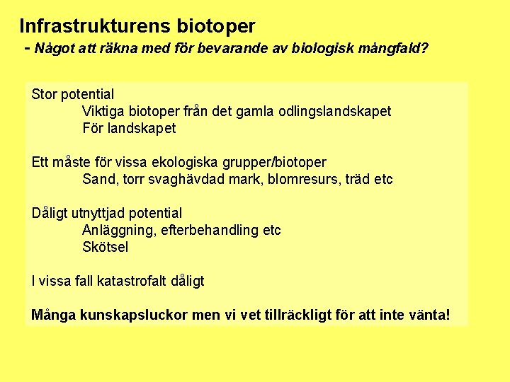 Infrastrukturens biotoper - Något att räkna med för bevarande av biologisk mångfald? Stor potential