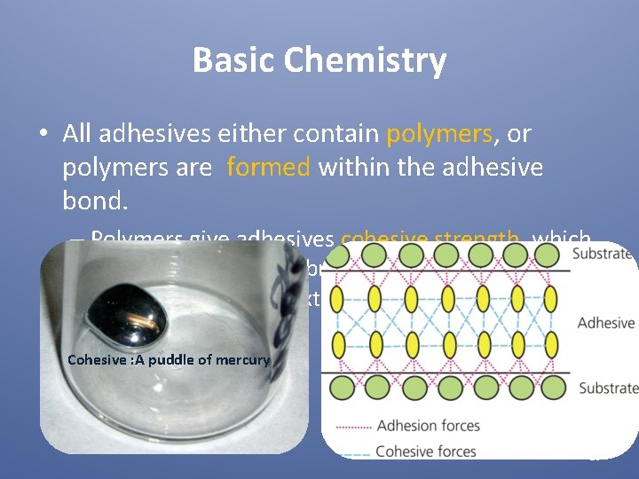 Basic Chemistry • All adhesives either contain polymers, or polymers are formed within the