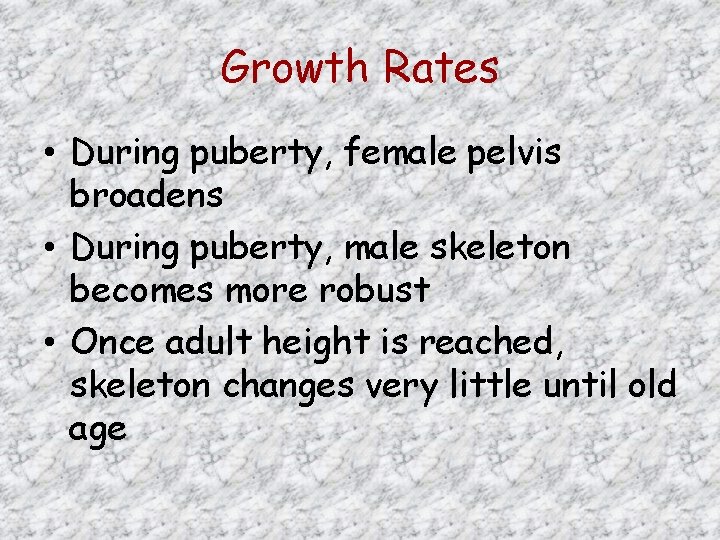 Growth Rates • During puberty, female pelvis broadens • During puberty, male skeleton becomes