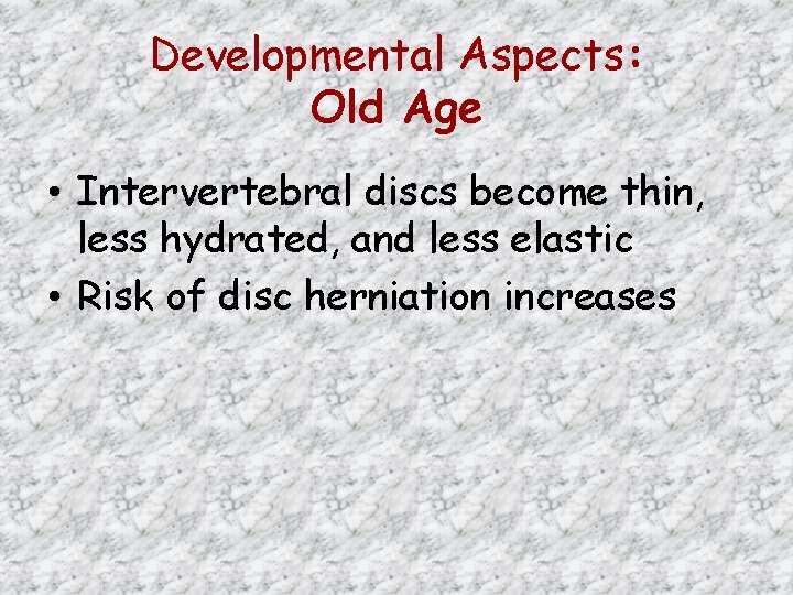 Developmental Aspects: Old Age • Intervertebral discs become thin, less hydrated, and less elastic