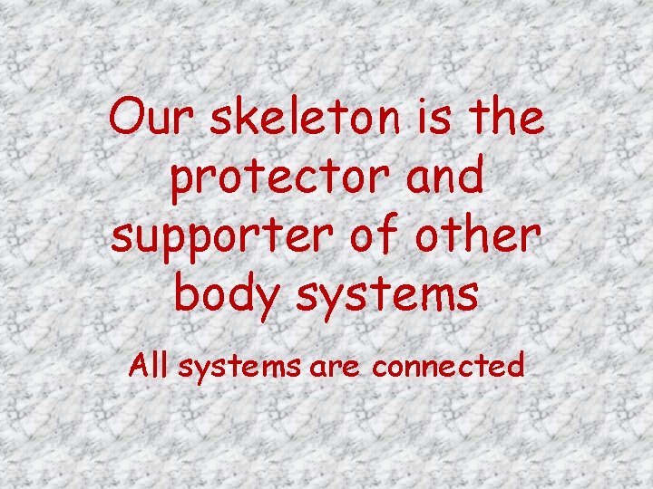 Our skeleton is the protector and supporter of other body systems All systems are