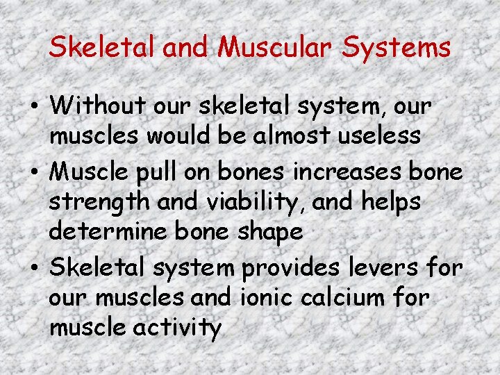 Skeletal and Muscular Systems • Without our skeletal system, our muscles would be almost