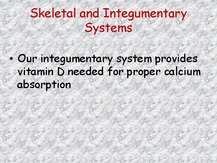 Skeletal and Integumentary Systems • Our integumentary system provides vitamin D needed for proper
