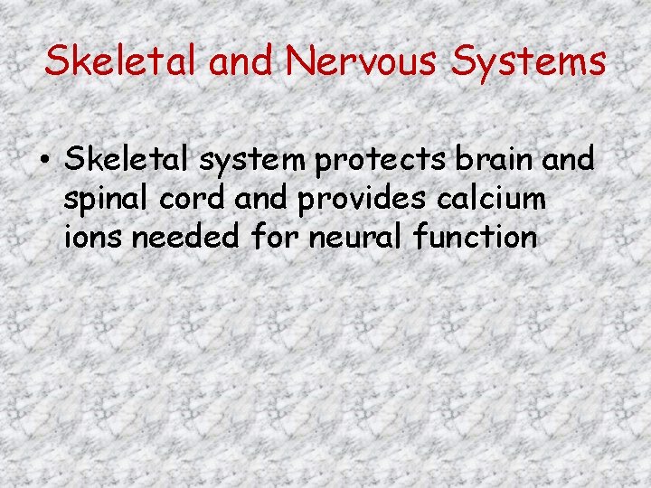 Skeletal and Nervous Systems • Skeletal system protects brain and spinal cord and provides