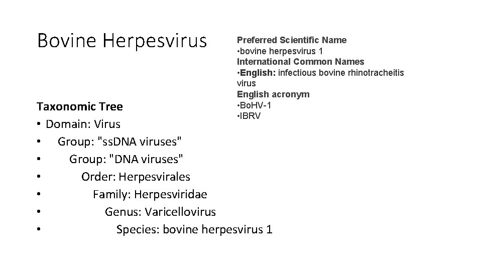 Bovine Herpesvirus Preferred Scientific Name • bovine herpesvirus 1 International Common Names • English: