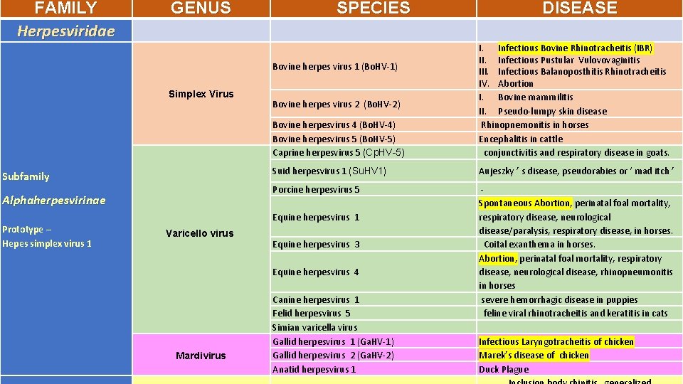 FAMILY Herpesviridae GENUS SPECIES Subfamily Alphaherpesvirinae Prototype – Hepes simplex virus 1 Bovine herpesvirus