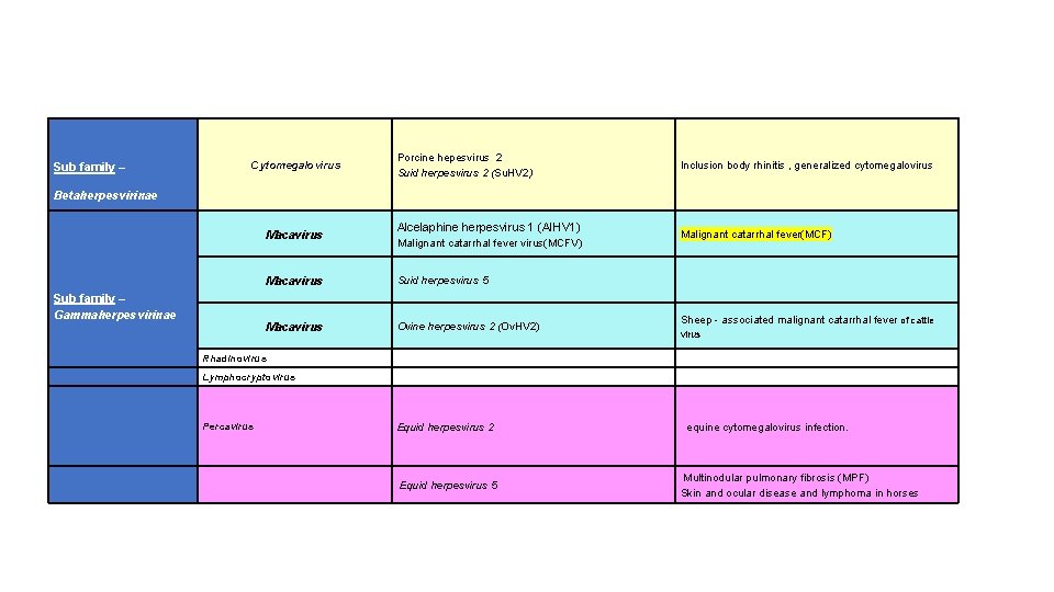  Sub family – Cytomegalovirus Porcine hepesvirus 2 Suid herpesvirus 2 (Su. HV 2)