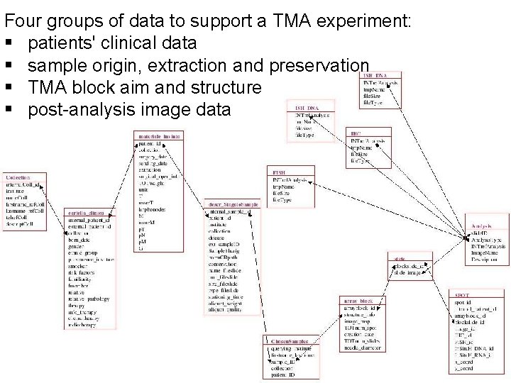 Four groups of data to support a TMA experiment: § patients' clinical data §