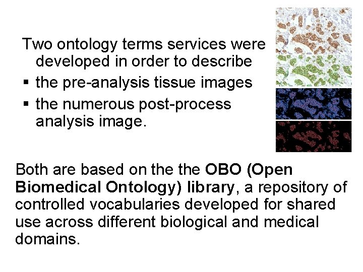 Two ontology terms services were developed in order to describe § the pre-analysis tissue