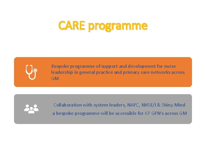 CARE programme Bespoke programme of support and development for nurse leadership in general practice