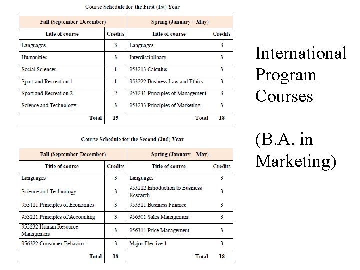 International Program Courses (B. A. in Marketing) 