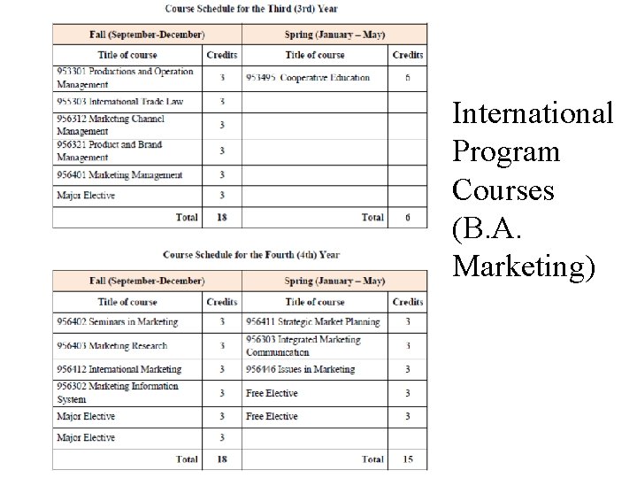 International Program Courses (B. A. Marketing) 