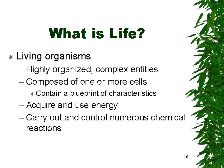 What is Life? Living organisms – Highly organized, complex entities – Composed of one