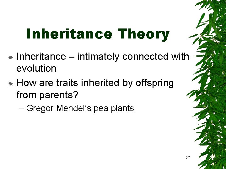 Inheritance Theory Inheritance – intimately connected with evolution How are traits inherited by offspring