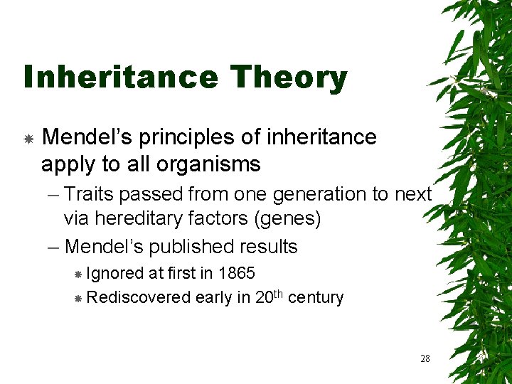 Inheritance Theory Mendel’s principles of inheritance apply to all organisms – Traits passed from