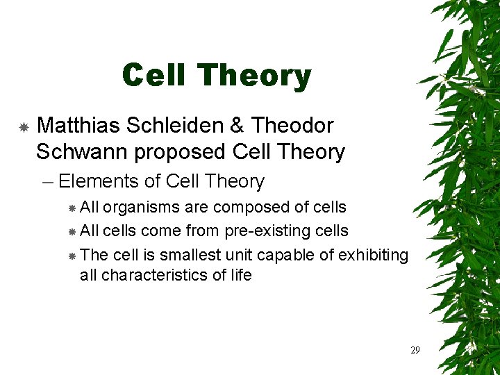 Cell Theory Matthias Schleiden & Theodor Schwann proposed Cell Theory – Elements of Cell