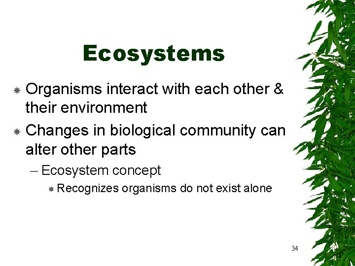 Ecosystems Organisms interact with each other & their environment Changes in biological community can