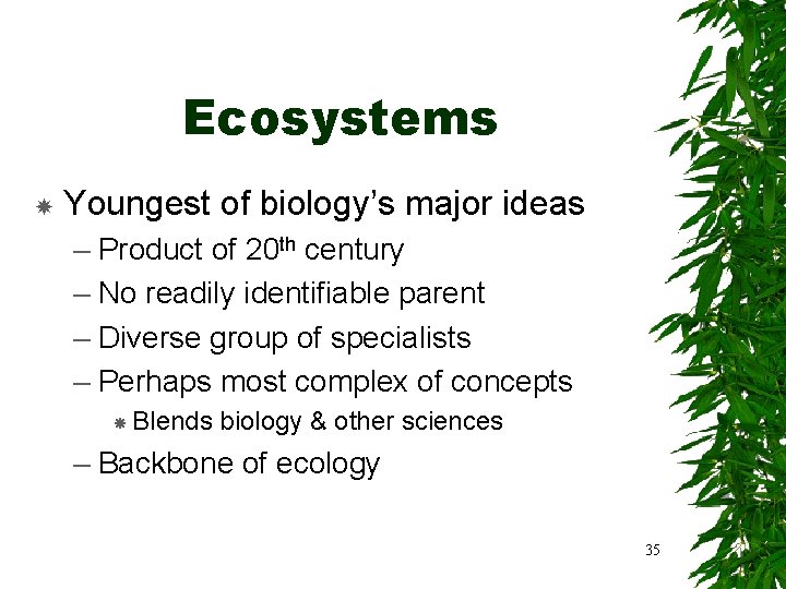 Ecosystems Youngest of biology’s major ideas – Product of 20 th century – No