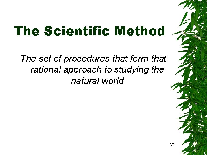 The Scientific Method The set of procedures that form that rational approach to studying