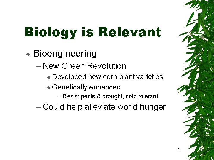 Biology is Relevant Bioengineering – New Green Revolution Developed new corn plant varieties Genetically