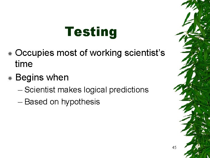 Testing Occupies most of working scientist’s time Begins when – Scientist makes logical predictions