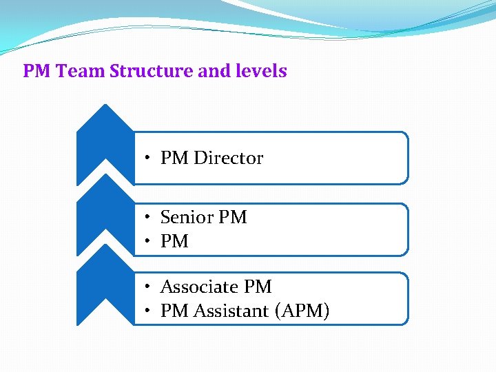 PM Team Structure and levels • PM Director • Senior PM • Associate PM