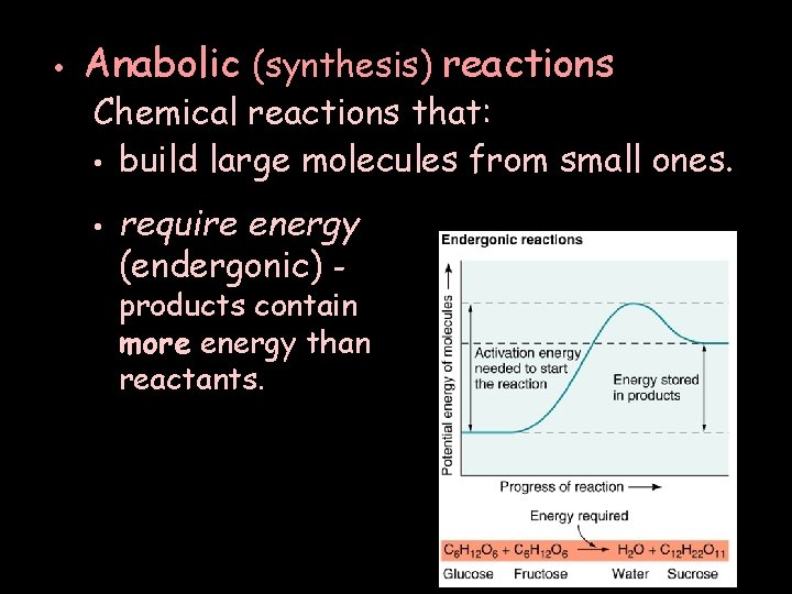  • Anabolic (synthesis) reactions Chemical reactions that: • build large molecules from small