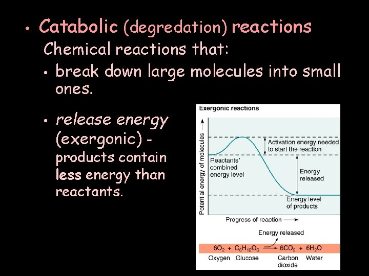  • Catabolic (degredation) reactions Chemical reactions that: • break down large molecules into