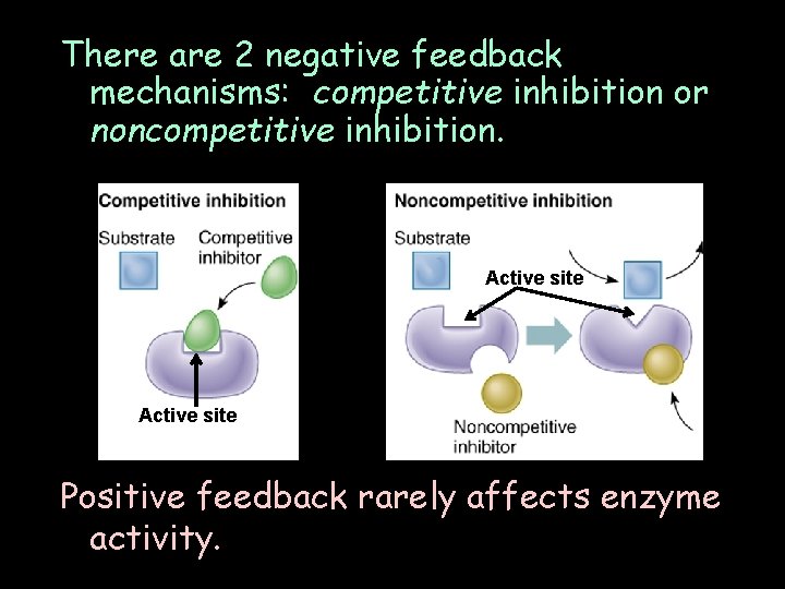 There are 2 negative feedback mechanisms: competitive inhibition or noncompetitive inhibition. Active site Positive