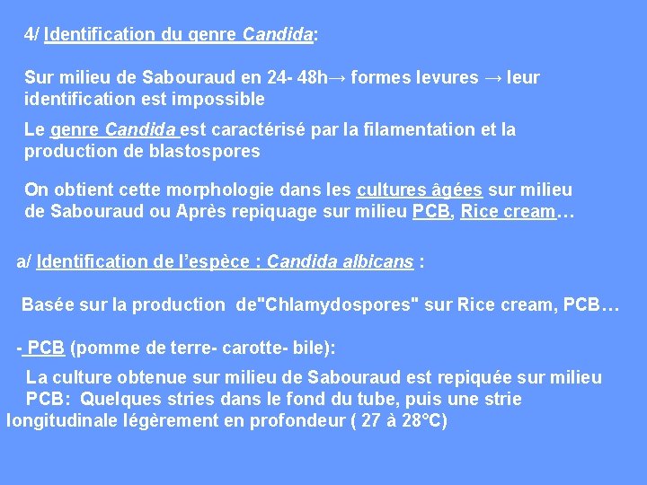 4/ Identification du genre Candida: Sur milieu de Sabouraud en 24 - 48 h→