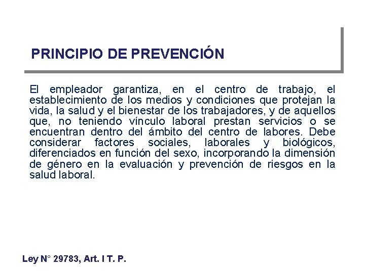 PRINCIPIO DE PREVENCIÓN El empleador garantiza, en el centro de trabajo, el establecimiento de